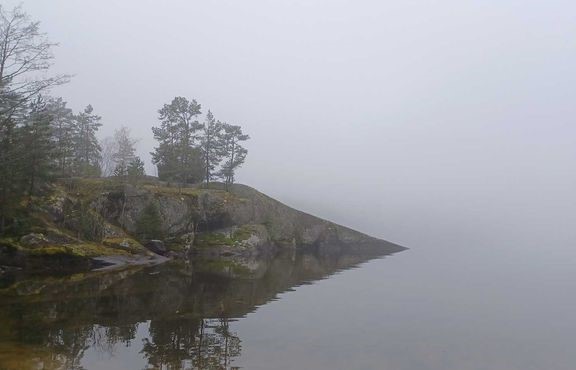 Sinilev&#228;havaintoja on tehty edelleen.