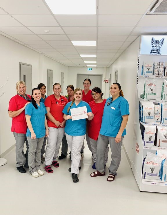 Mira Mustonen (vas.), Jevgenia Volkova, Reeta Saarij&#228;rvi, Mikaela Wikholm, Mari Eerola, Kaisa Saarinen, Sini Yli-Junnila, Nita M&#228;ntyla ja Anna Seminog ovat Brahenkulman El&#228;inl&#228;&#228;k&#228;rien henkil&#246;kuntaa.