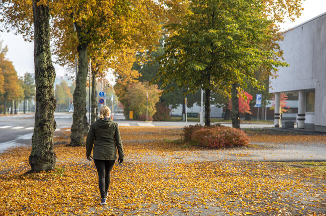 Lokakuusta maaliskuulle D-vitamiinia voi olla vaikea saada riittävästi pelkästään ravinnosta.