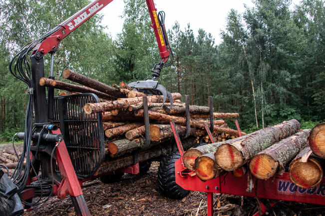 Puun hinnan nousu on havaittavissa myös Lounais-Suomen alueella.