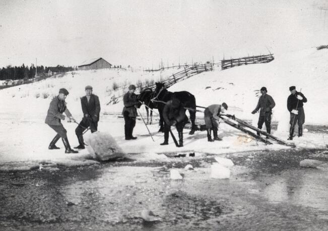 Jään nostoa meijeriin Aurajoella. 