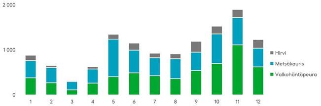 Riistaeläinonnettomuudet kuukausittain koko maassa vuonna 2023. Marraskuussa tapahtuu huomattavan paljon riistaeläinonnettomuuksia, erityisesti valkohäntäpeurojen kanssa.
