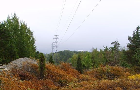 Suurj&#228;nnitteisten ilmajohtojen johtoaukeiden raivauksia tehd&#228;&#228;n kolmen vuoden v&#228;lein.