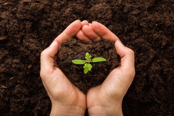 Ravinteiden kierr&#228;tyksen kokeiluohjelman seuraava hakukierros p&#228;&#228;ttyy 31. tammikuuta.