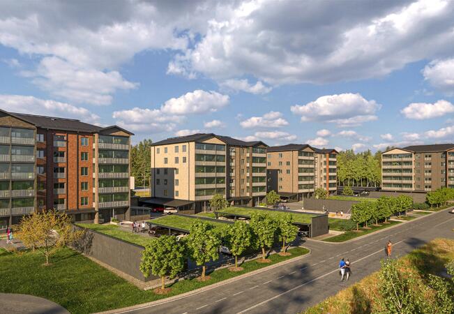 Havainnekuva Raision korttelista.