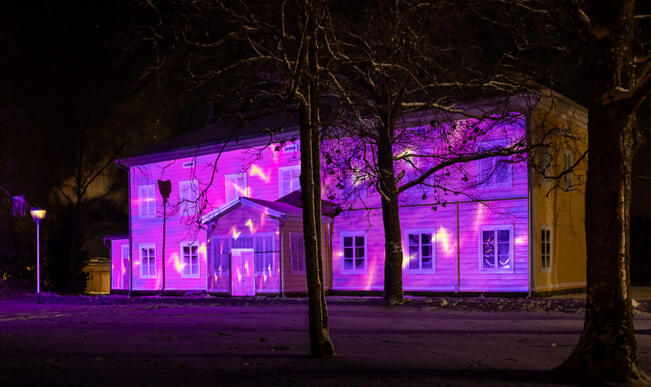 Museopappila viime vuoden loppiaisvaloissa.