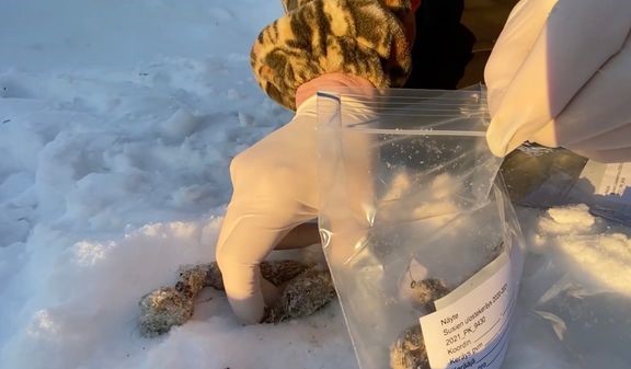 DNA-ker&#228;yst&#228;.  
