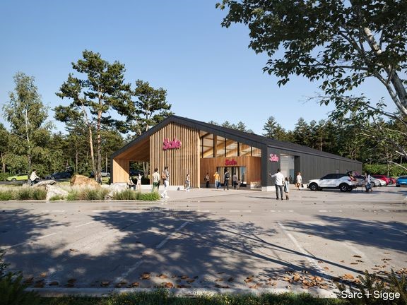 Havainnekuva Merimaskun Salesta.  