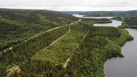 Metsänrajapuutarha Utsjoella.
