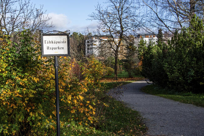 Puiden kuolleisuus on 2000-luvulla lisääntynyt. 