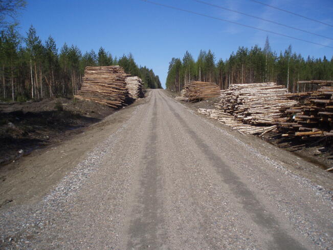 Suomen kartoitetuista yksityisteistä hyväkuntoisia on noin 40 prosenttia, tyydyttäviä 27 prosenttia ja huonokuntoisia 33 prosenttia.