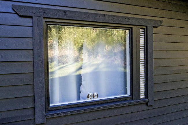 Mökeillä vietettiin viime vuonna aikaa keskimäärin 85 vuorokautta.