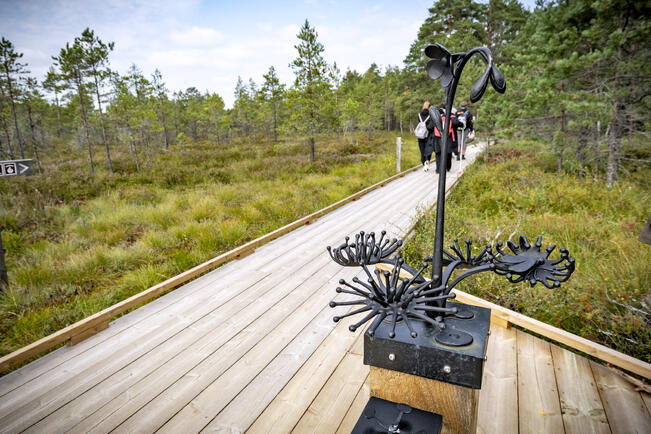 Kuhankuonolle pääsee jatkossa bussilla ympäri vuoden.