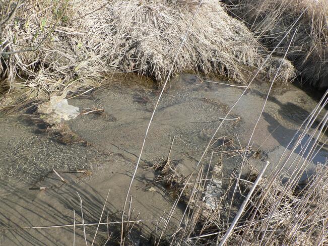 Happamien sulfaattimaiden ojien ja purojen kirkkaat valumavedet saattavat näyttää puhtailta, mutta ne ovat usein hyvin happamia ja metallipitoisia.  