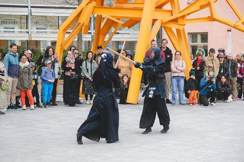 Viime vuonna Japani-päivässä nähtiin kendoa.