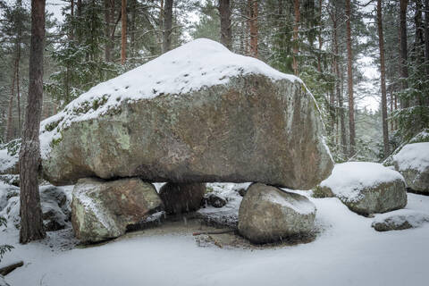 Metsäkirkko järjestetään Tapion alttarilla.