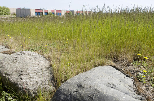 Utö Havshotel on luonnonrauhan tyyssija. 