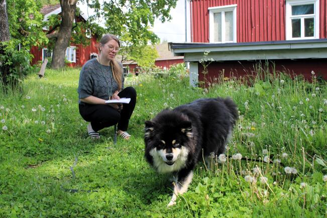  Katja Alho kertoo, että Elävän kulttuurin Koroisten tiloja ja saunaa vuokrataan myös yksityiskäyttöön
