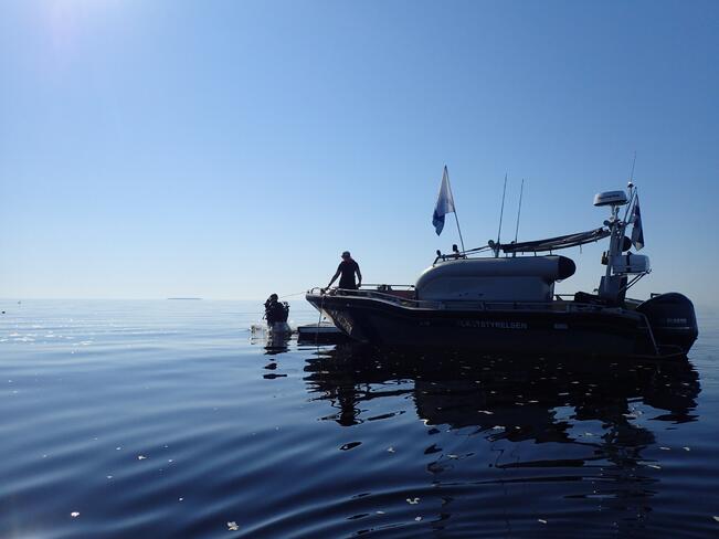 Sukelluslinjoilla kerätään lajitietoa sekä matalilta rannoilta että vedenalaisilta riutoilta.