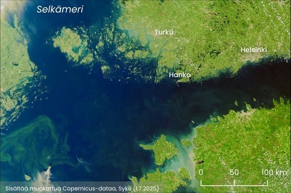 Sentinel-3-satelliitti teki tiistaina pilvettömän havainnon Suomenlahden länsiosasta ja pääaltaan pohjoisosista. Sinilevää esiintyi näillä merialueilla veteen sekoittuneena, mutta ei laajoina kukintoina. Sisältää muokattua Copernicus-dataa. 
