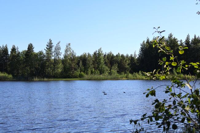 Maskun Rivieran alue.