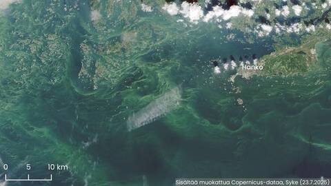 Sentinel-2-satelliitin keskiviikon havainto Hangon länsipuolelta. Pintakukintaa esiintyy erityisesti Hangon läntisellä selällä. 
