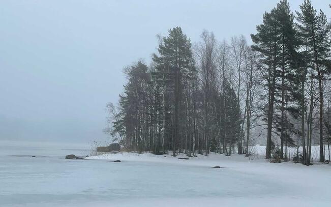 Happikato vaivaa erityisesti pieniä, rehevöityneitä järviä.