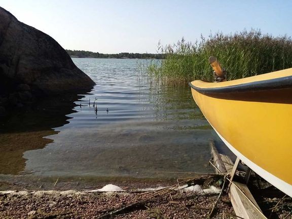 Helleputkesta huolimatta havainnot sinilev&#228;st&#228; eiv&#228;t ole vakioseurantapaikoilla lis&#228;&#228;ntyneet.