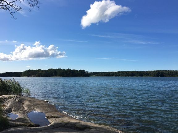 Sinilev&#228;&#228; on kuluvalla viikolla havaittu Lounais-Suomen merialueella seitsem&#228;ll&#228; vakiohavaintopaikalla. 