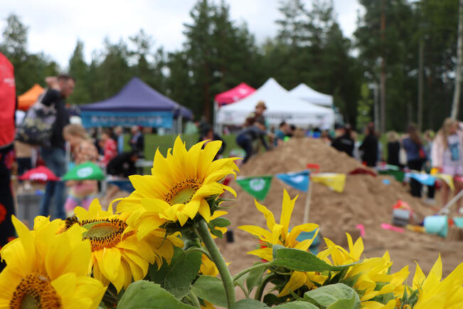 Maskun päivää vietetään Isonkiven rannalla Maskussa.