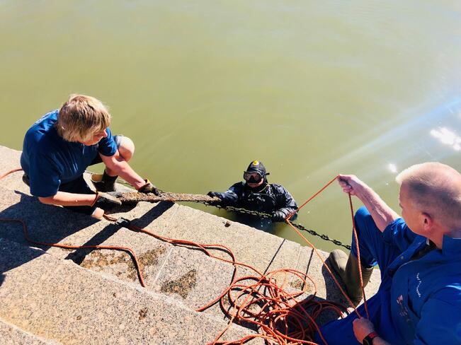 Joukko vapaaehtoisia sukeltajia Turun seudulta pulahtaa tuttuun tapaan Turun päivänä Aurajokeen siivoamaan sinne päätyneitä roskia ja romua.