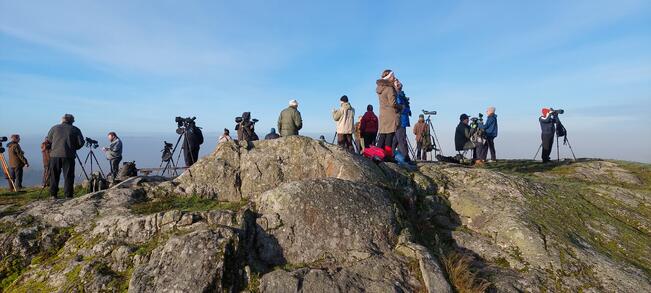 Linnavuorella tarkkaillaan lintujen syysmuuttoa.