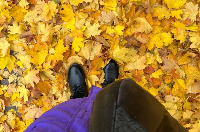 Jos ravinteikkaita lehtiä tai risuja ei pysty käyttämään hyödyksi kotipihassa, voi ne tuoda maksutta LSJH:n lajitteluasemille.
