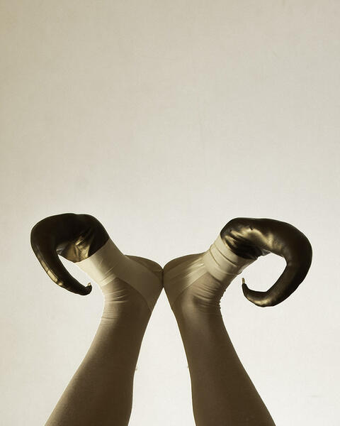 Lopun hetkenä hoviin tuotiin nuori narri.