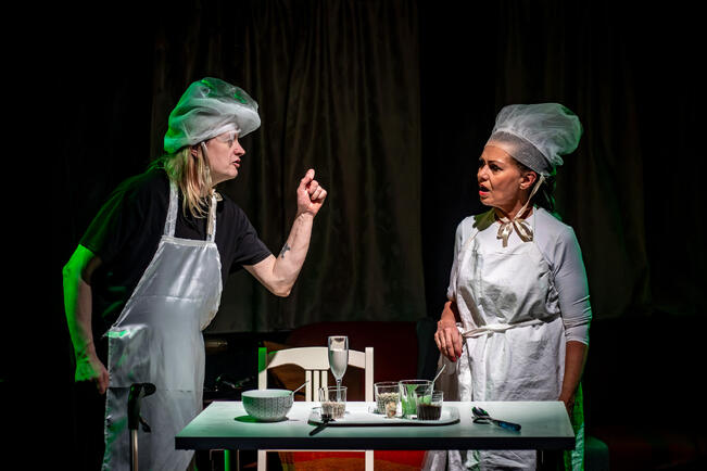 Janos Honkonen ja Sariannika Raita.