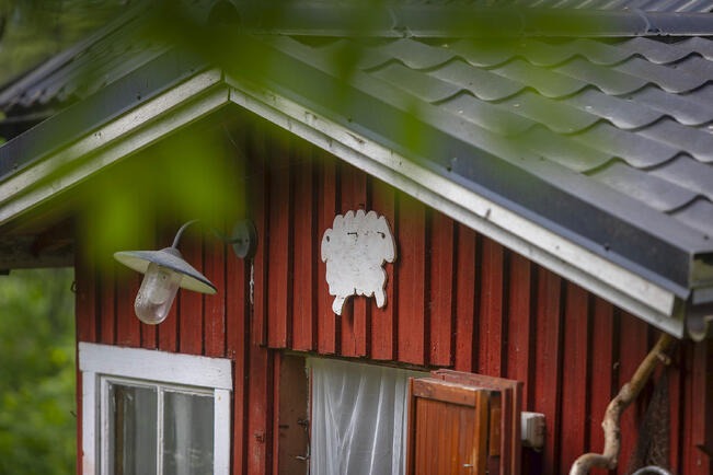 Vapaa-ajan asuntoja koskevat ostoaikeet ovat nousseet koko vuoden.