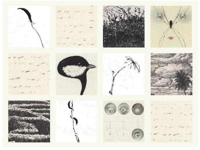 Maija Albrechtin, Mikael Kihlmanin, Liina Mäki-Patolan ja Lars Nybergin töitä on esillä Galleria Joellassa.