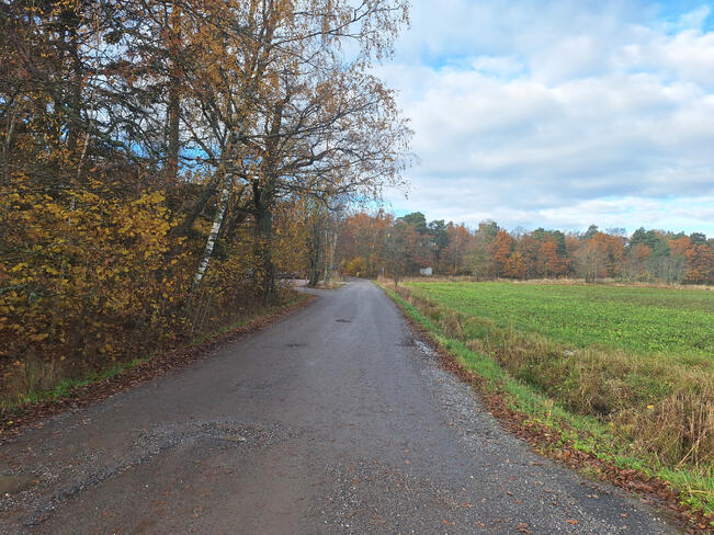 Suojeluskuntataustainen Albert Ravila palveli talvisodassa, jatkosodassa ja Lapin sodassa. Ennen sotavuosia hän menestyi pienoiskivääriammunnassa ja voitti lajin maailmanmestaruuden 1937.