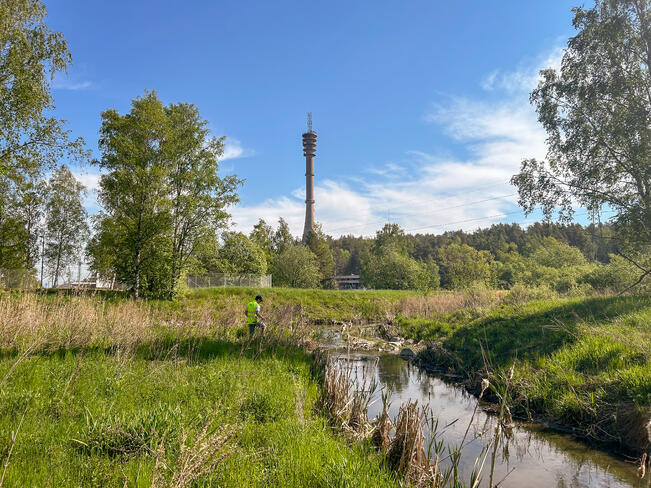 Maastokäynti Jaaninojan kaupunkipurolla kesällä 2024.
