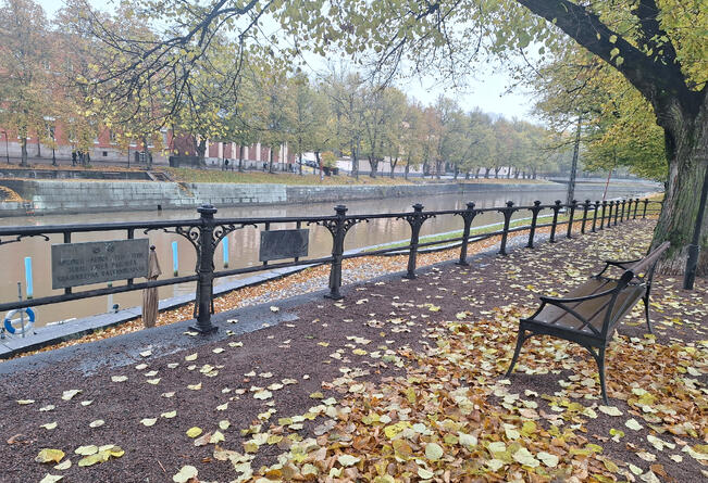 Aurora-seura ikuistettiin myös Eero Järnefeltin seinämaalaukseen 1900-luvulla, mutta Helsingin yliopiston päärakennuksen juhlasalissa sijainnut maalaus tuhoutui 1944 pommituksissa.