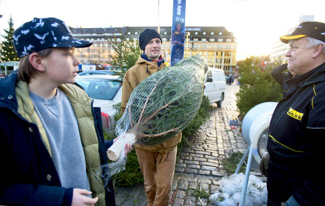 Joulukuuset tekivät kauppansa Kauppatorilla jo vuosikymmen sitten. Kuusirantanen Oy:n Marko Rantanen on juuri verkottanut joulupuun asiakkaalleen. 