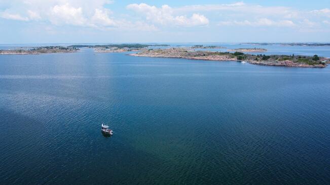 Saaristomeren vedenalaisluontoa kartoitettiin sukelluksin maastokauden aikana.