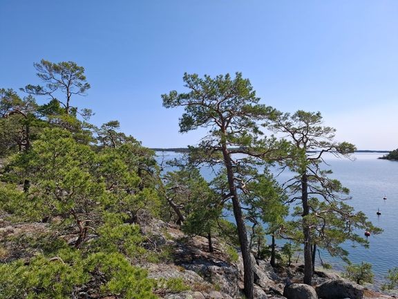 Naantali uudelleenorganisoi matkailutoiminnon ja kilpailutti osana sit&#228; matkailuneuvonnan. 