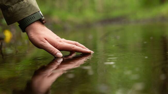 Aistiyliherkkyydet liittyvät huomattavasti laajempaan joukkoon neurokehityksellisiä haasteita.