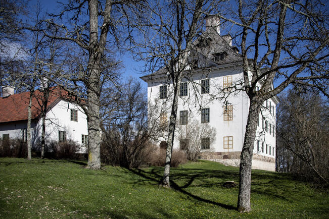 Louhisaaren kartanolinna ulkorakennuksineen edustaa meillä melko harvinaista barokkiarkkitehtuuria.