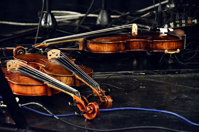 Folklandia järjestetään 9.–10. tammikuuta Baltic Princess -laivalla.