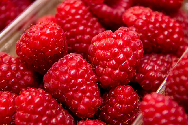 Vadelma (Rubus idaeus) kutsutaan myös vatuksi, vaapukaksi ja vaaraimeksi.