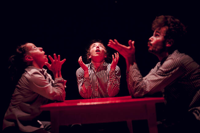 Elina Raiskinmäki (vas.), Suvi Nieminen ja Come Calmelet-Pyykkö.