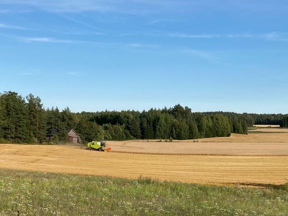 Maatalous on Saaristomeren suurin kuormittaja. 