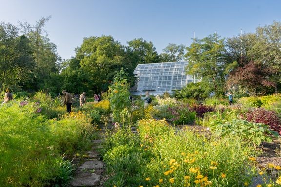 Kasvitieteellinen puutarha Turussa, Saaristomeren tutkimuslaitos Seilissä sekä Kevon tutkimusasema Utsjoella ovat osa Turun yliopiston biodiversiteettitieteiden laitosta.  
